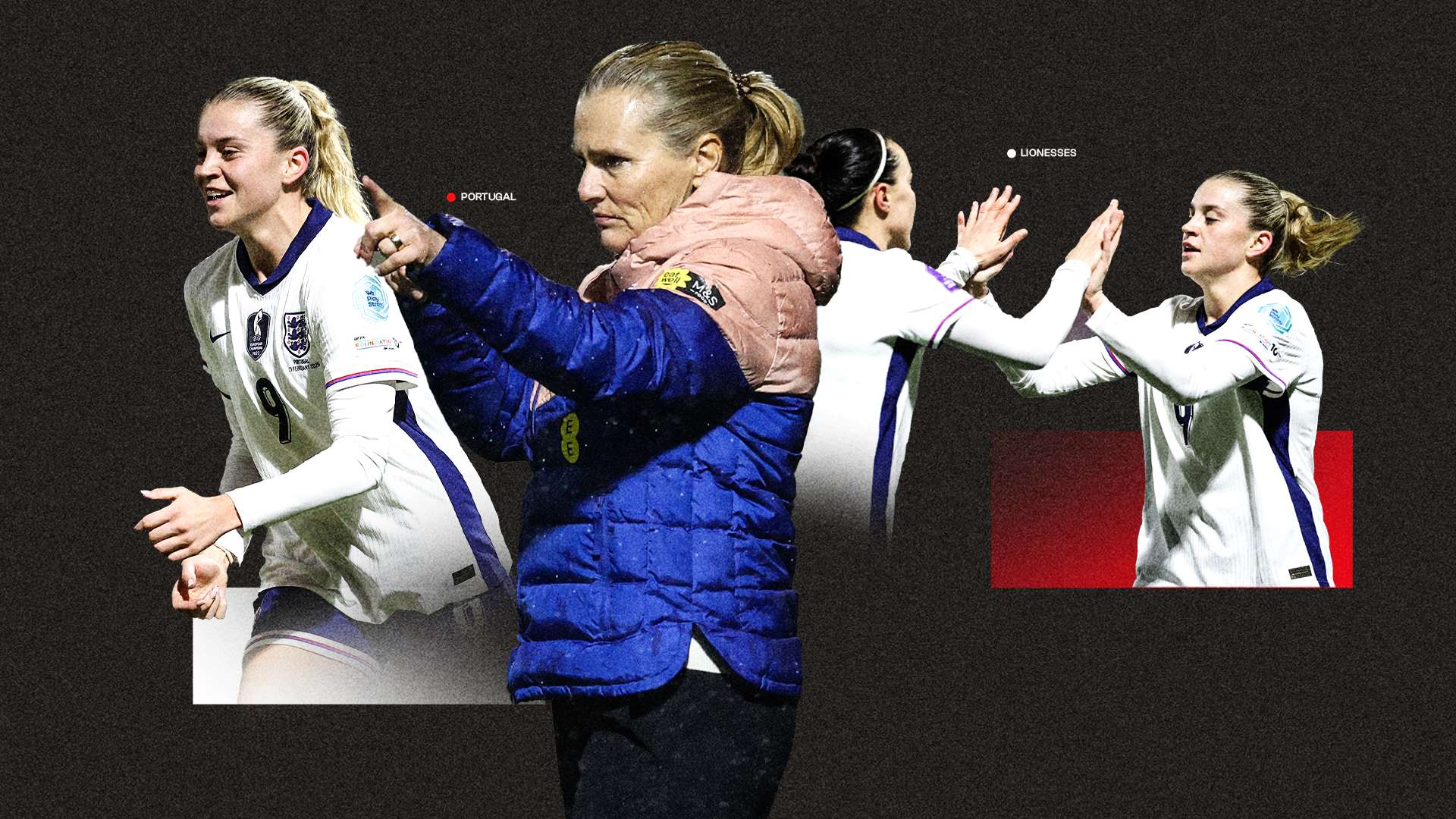 一套完善的 一套完善的